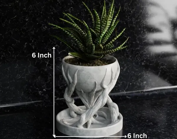 Spiral_Tree_Pot