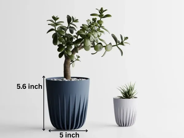 Plant_Pot_Aurea