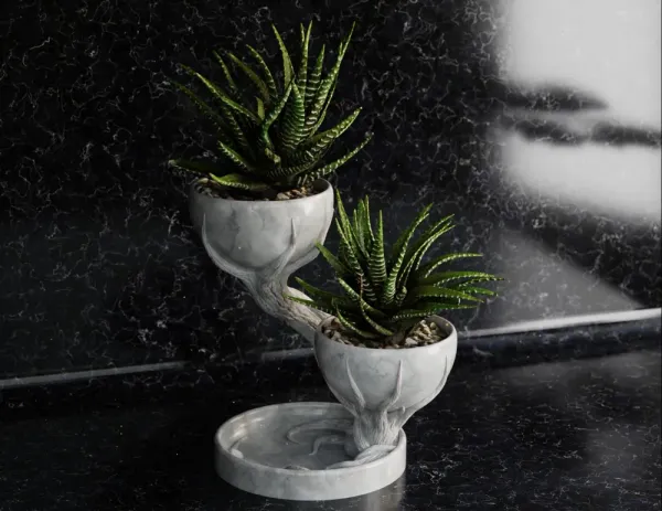 Double_Tree_Pot
