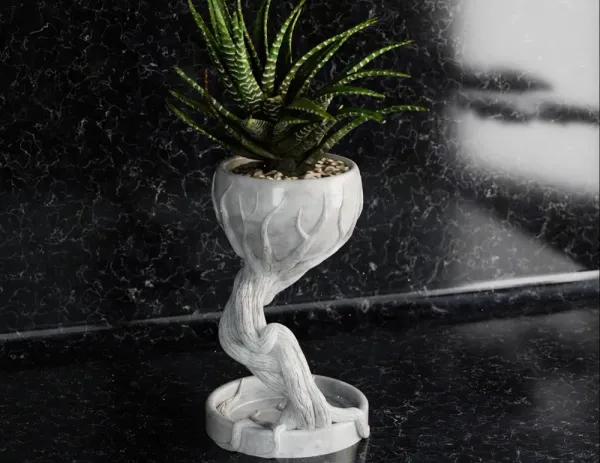 Roots_Pot