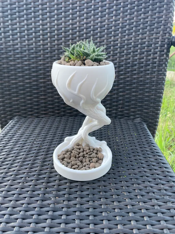Roots_Pot