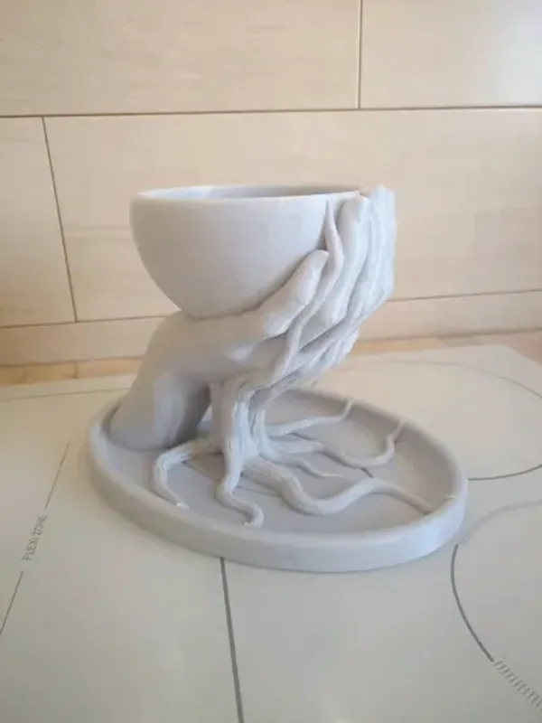 Roots_Flower_Pot