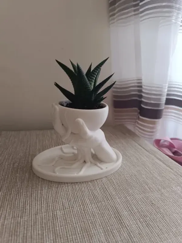 Roots_Flower_Pot