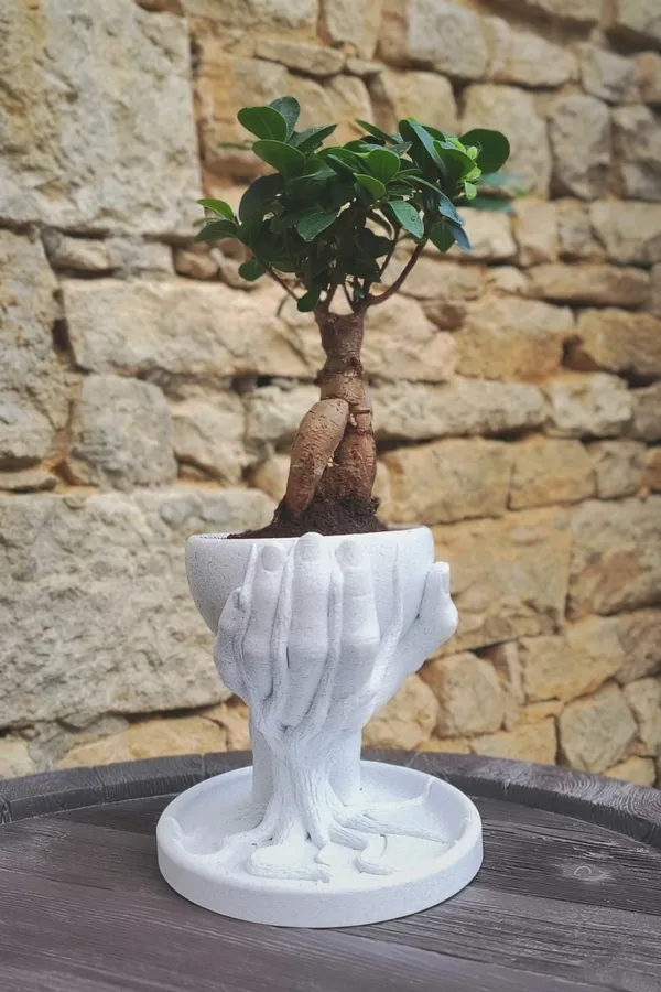 Roots_Flower_Pot