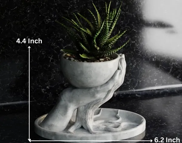 Roots_Flower_Pot