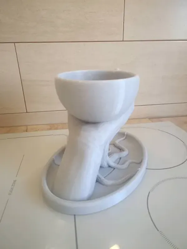 Roots_Flower_Pot