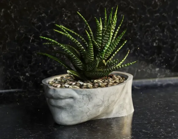 Head_Vase