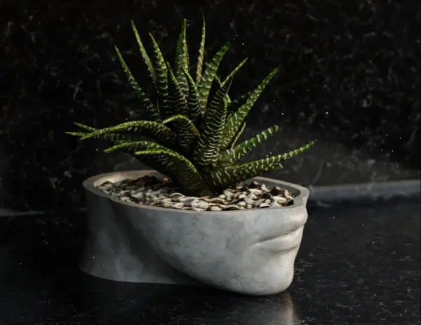 Head_Vase