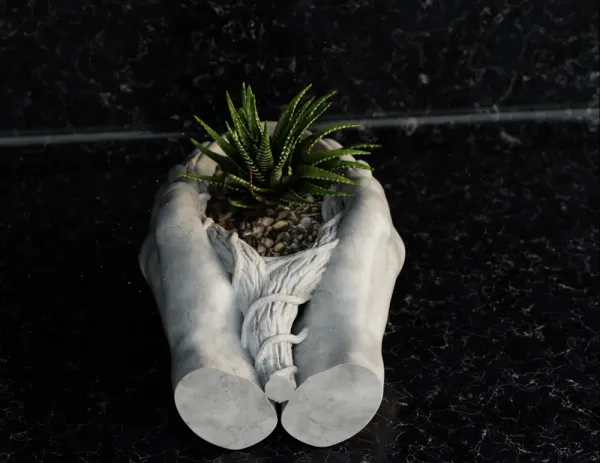 Hands_Roots_Vase_2