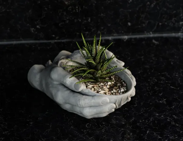 Hands_Roots_Vase_2