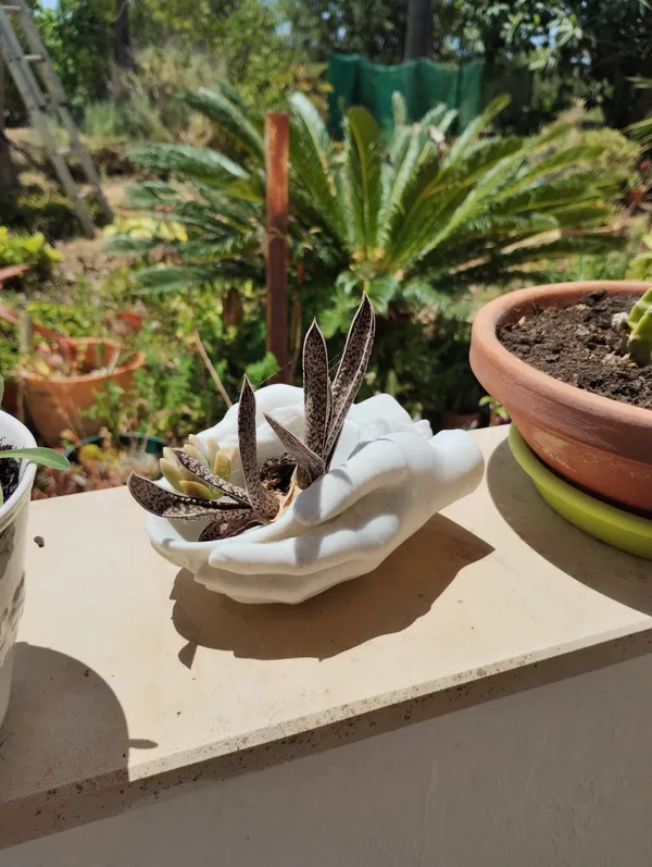 Hands_Roots_Vase_2