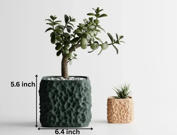 Plant_Pot_Terraforma