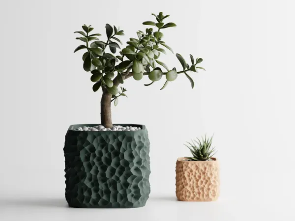 Plant_Pot_Terraforma