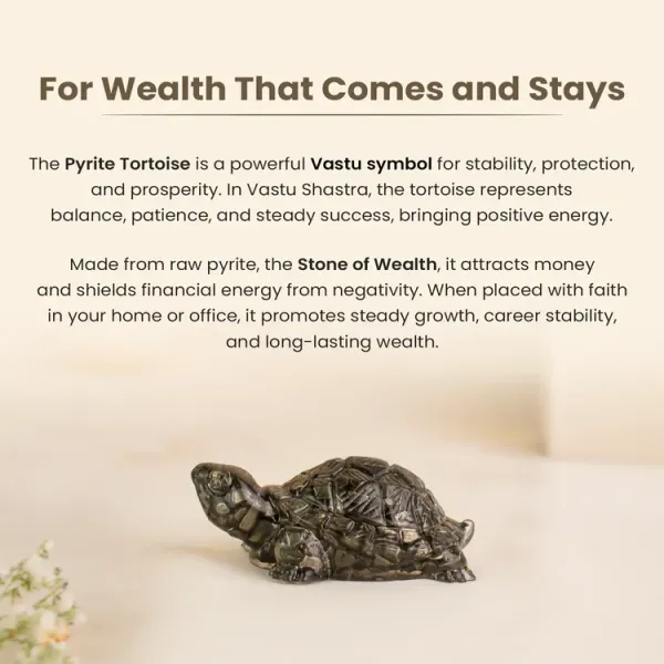 Pyrite_Tortoise_-_Vastu_Symbol_For_Wealth_Stability_And_Career_Growth_|_Black