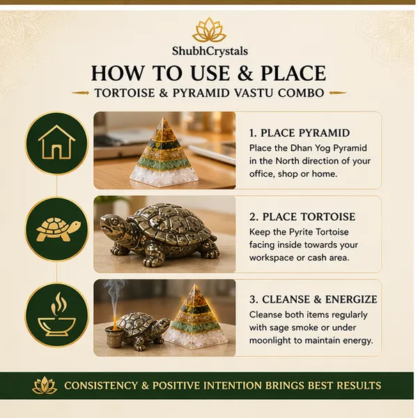 Tortoise_&_Pyramid_Vastu_Combo_–_Pyrite_Tortoise_+_Dhan_Yog_Pyramid