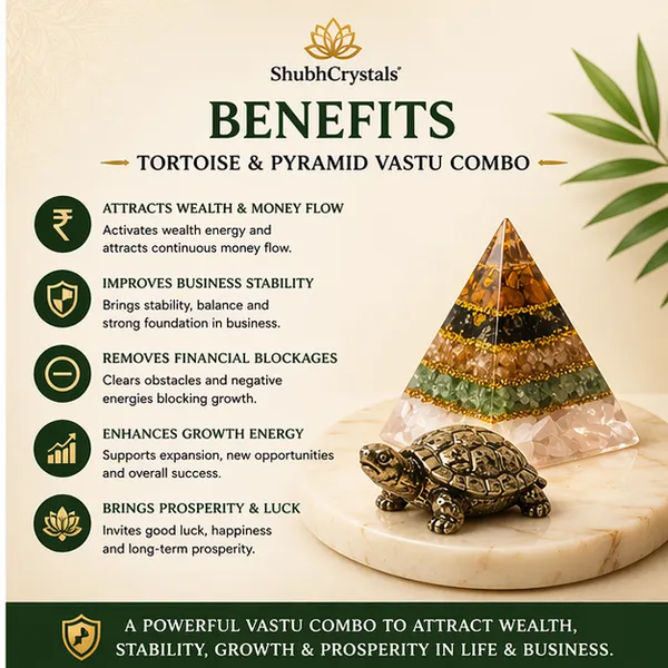 Tortoise_&_Pyramid_Vastu_Combo_–_Pyrite_Tortoise_+_Dhan_Yog_Pyramid