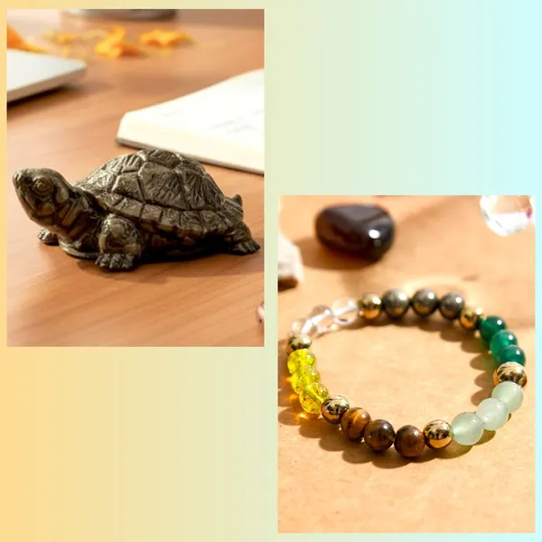 Shubh_Samridhi_Combo_-_Shubh_Dhan_Yog_Bracelet_And_Pyrite_Tortoise_|_Multicolor_Pack_of_2