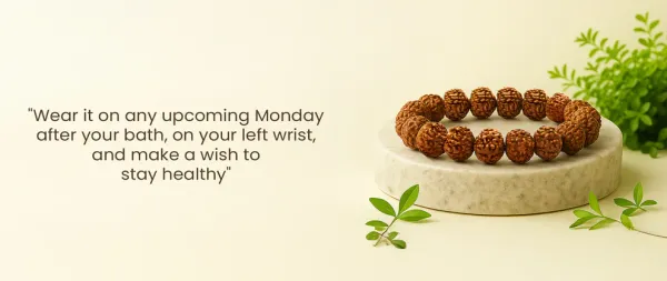 5_Mukhi_Rudraksha_Bracelet_-_Lord_Shiva_Blessings_For_Health,_Growth_And_Balance_|_Brown