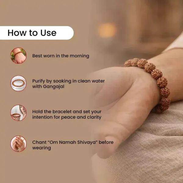 5_Mukhi_Rudraksha_Bracelet_-_Lord_Shiva_Blessings_For_Health,_Growth_And_Balance_|_Brown