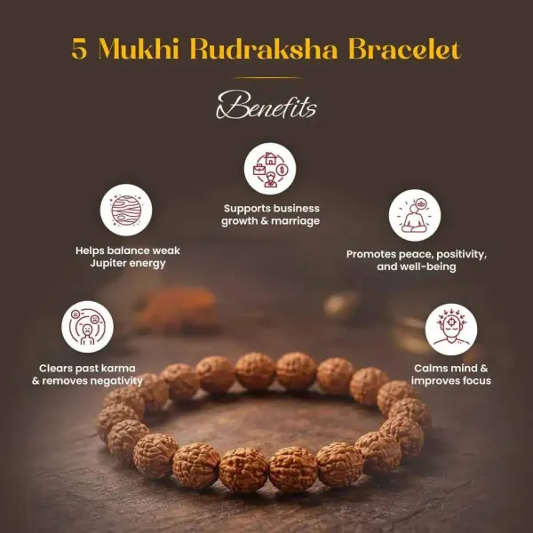 5_Mukhi_Rudraksha_Bracelet_-_Lord_Shiva_Blessings_For_Health,_Growth_And_Balance_|_Brown