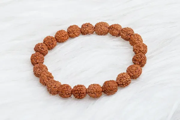 Shubh_Rudraksha_Dhan_Combo_-_5_Mukhi_Rudraksha_Bracelet_And_Shubh_Dhan_Yog_Bracelet_|_Multicolor_Pack_of_2