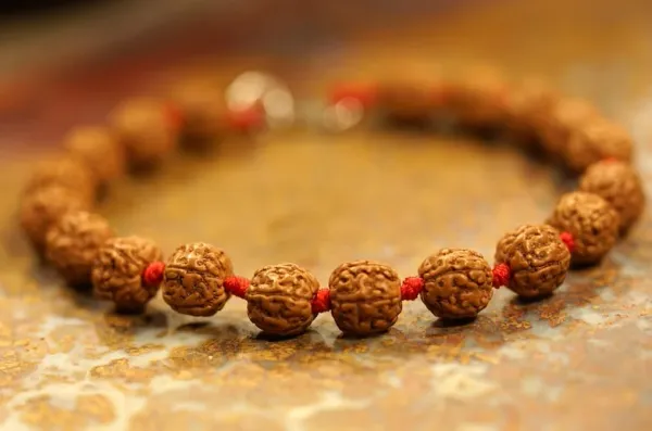 Shubh_Rudraksha_Dhan_Combo_-_5_Mukhi_Rudraksha_Bracelet_And_Shubh_Dhan_Yog_Bracelet_|_Multicolor_Pack_of_2