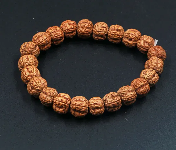 Shubh_Rudraksha_Dhan_Combo_-_5_Mukhi_Rudraksha_Bracelet_And_Shubh_Dhan_Yog_Bracelet_|_Multicolor_Pack_of_2