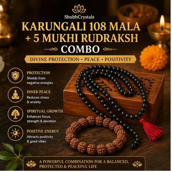 Karungali_108_Mala_+_5_Mukhi_Rudraksh_Bracelet_Combo