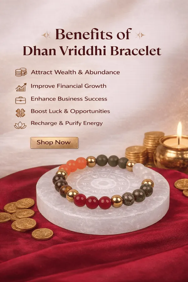 Dhan_Vridhi_Bracelet_With_Raw_Selenite_Plate_-_Continuous_Wealth_Energy_|_Multicolor_Pack_of_2