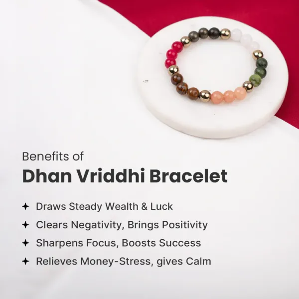 Dhan_Vridhi_Bracelet_With_Raw_Selenite_Plate_-_Continuous_Wealth_Energy_|_Multicolor_Pack_of_2