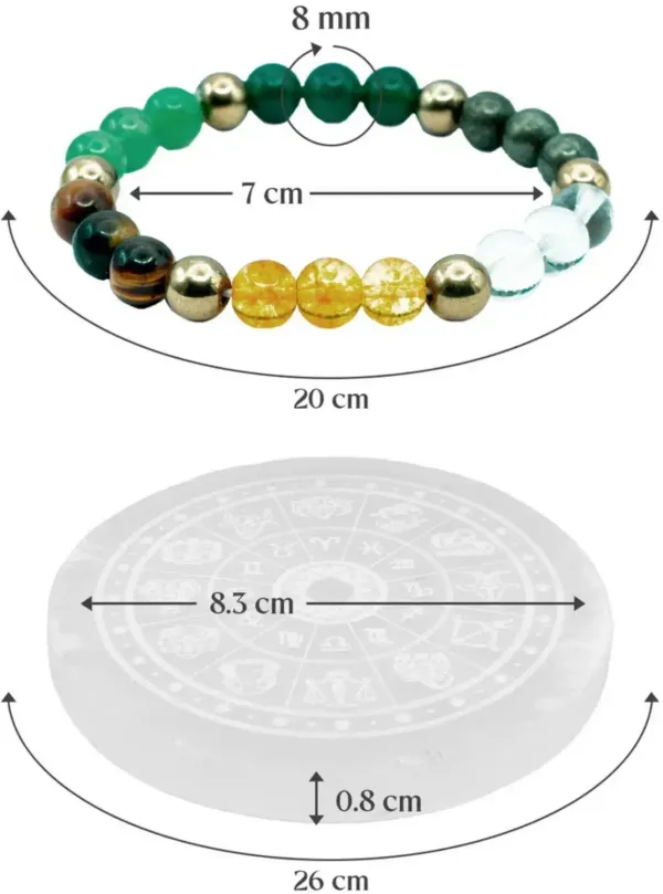Sampurn_Dhan_Combo_-_Shubh_Dhan_Yog_Combo_with_Raw_Selenite_Plate_-_Complete_Wealth_Kit_|_Multicolor_Pack_of_2