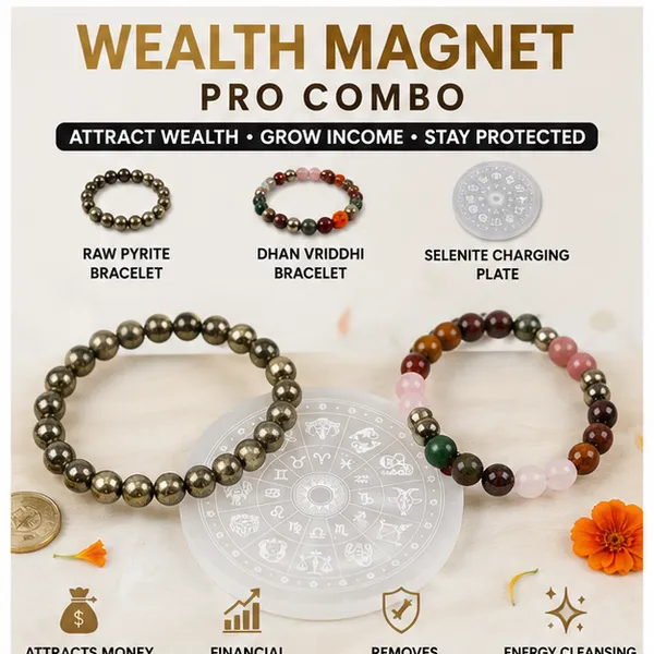 Wealth_Magnet_Pro_Combo