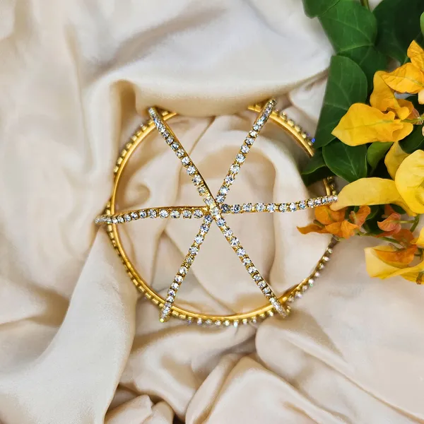 Gold_Alloy_With_Gold_Plating_Premium_Hair_Bun_Cage_For_Women