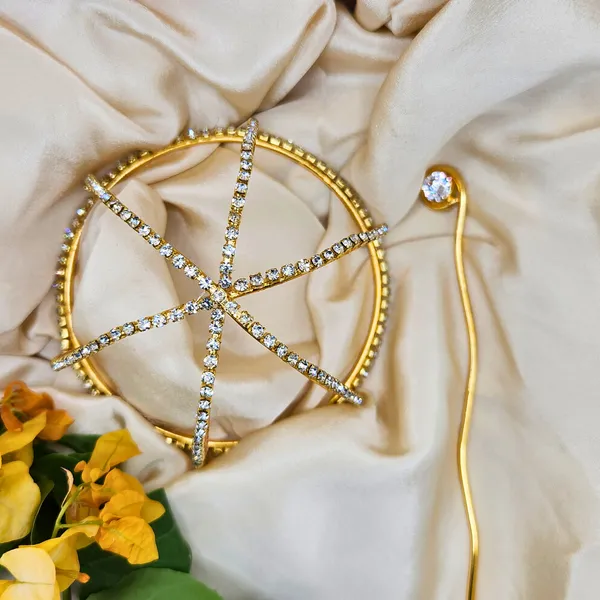 Gold_Alloy_With_Gold_Plating_Premium_Hair_Bun_Cage_For_Women