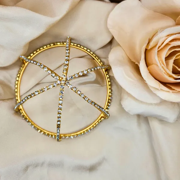 Gold_Alloy_With_Gold_Plating_Premium_Hair_Bun_Cage_For_Women