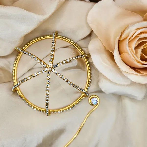 Gold_Alloy_With_Gold_Plating_Premium_Hair_Bun_Cage_For_Women