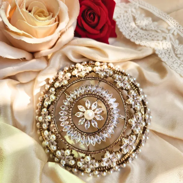 Antique_Gold_Brass_Premium_Hair_Bun_Accessory_For_Women