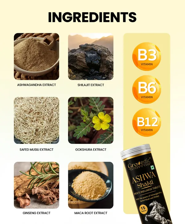 Ashwa_Shakti_Ashwagandha_Shilajit_Men's_Wellness_Tablets