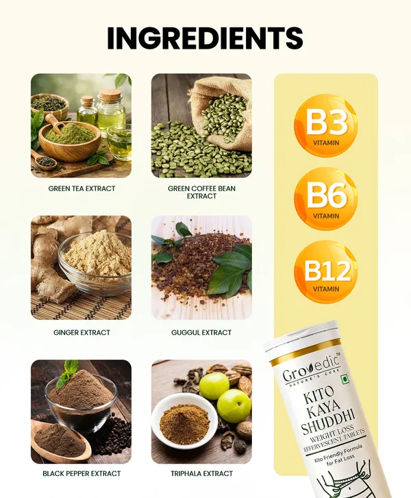 Kito_Kaya_Shuddhi_L-Carnitine_Garcinia_Fat_Loss_Tablets