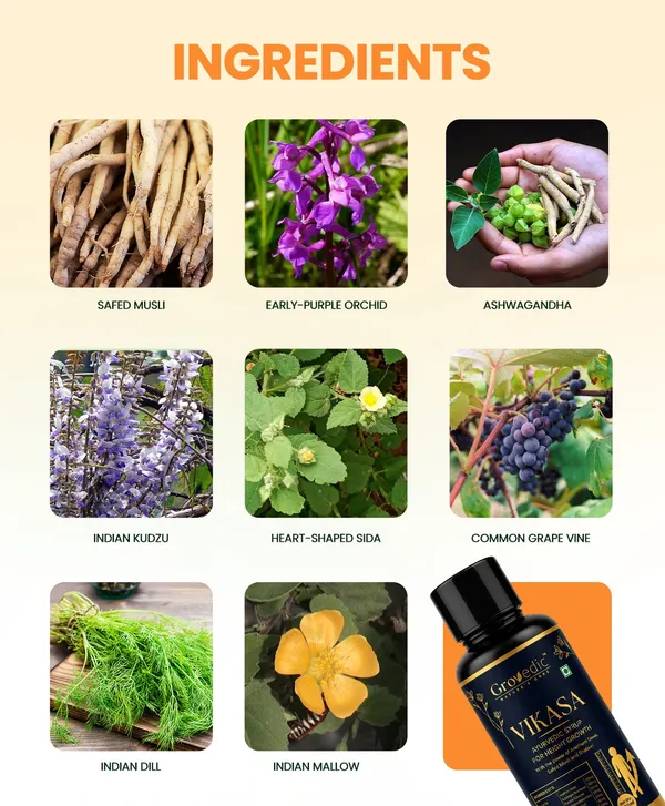 Vikasa_Ashwagandha_Shatavari_Ayurvedic_Height_Growth_Syrup