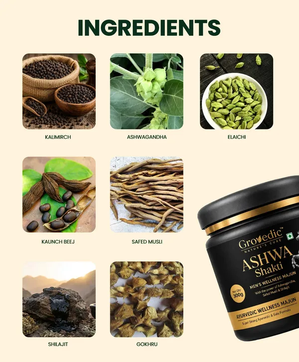 Ashwa_Shakti_Ashwagandha_Shilajit_Men's_Wellness_Majun