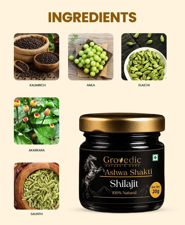 Ashwa_Shakti_Natural_Shilajit_Resin_Men's_Wellness