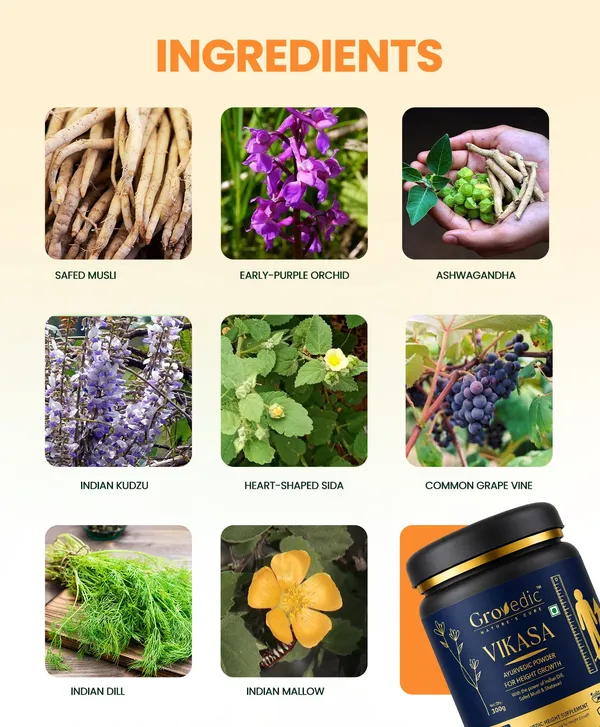 Vikasa_Indian_Dill_Shatavari_Height_Growth_Powder