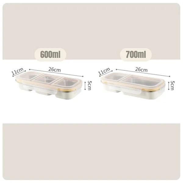 Pink_Stainless_Steel_Compartments_With_Lunch_Box