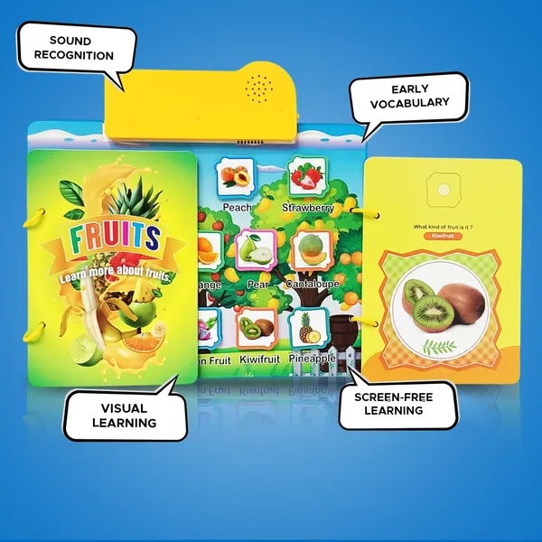 Multicolor_Plastic_Learning_Toy_For_Kids