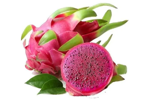 Dragon_Fruit_Combo_Pack_Of_3