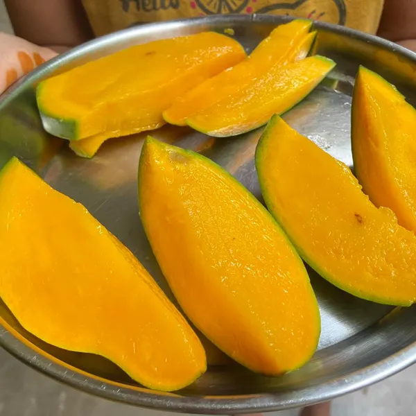 Katimon_Thailand_Mango_Fruit_Plant