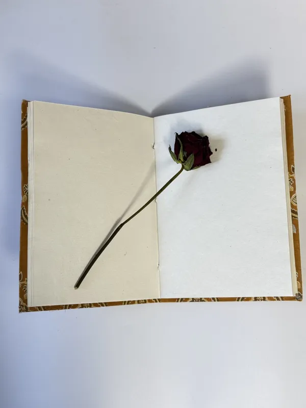 Handmade_Cotton_Fabric_Cover_Diary_–_Eco-Friendly_Handmade_Paper_Notebook_Journal_for_Writing_&_Gifting