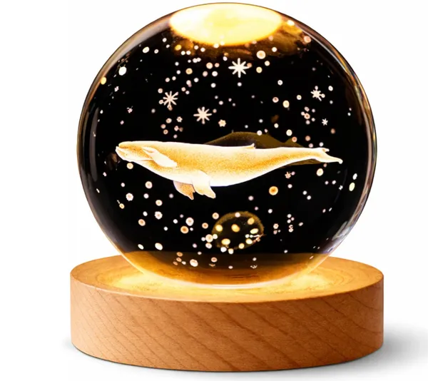 Cystall_Ball_-_Single_Fish
