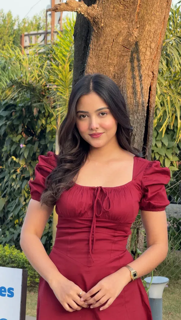 Maroon_Bustier_Dress
